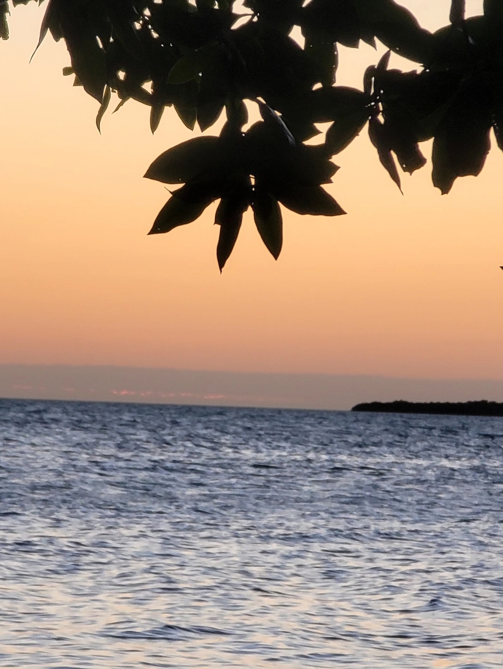 Meet your Posher, Donaldson